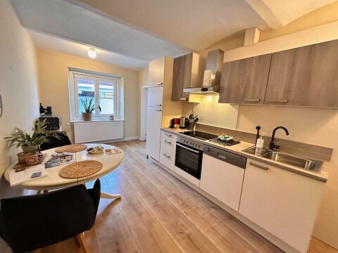 Keuken Appartement 1 Landhaus Vorderberg 7