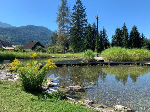 Natuurzwenbad in Vorderberg voor jong en oud Landhaus Vorderberg